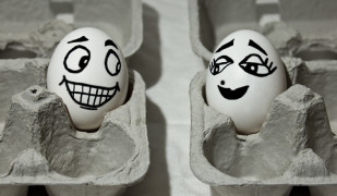 Egg_Landscape ­ 722w x 420h