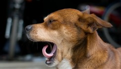 B2B Chief Marketing Officers are working tirelessly to engage buyers